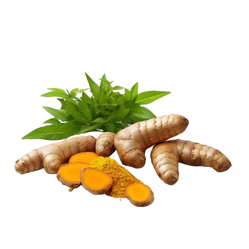 turmeric