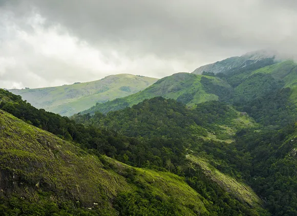 Nelliyampathy